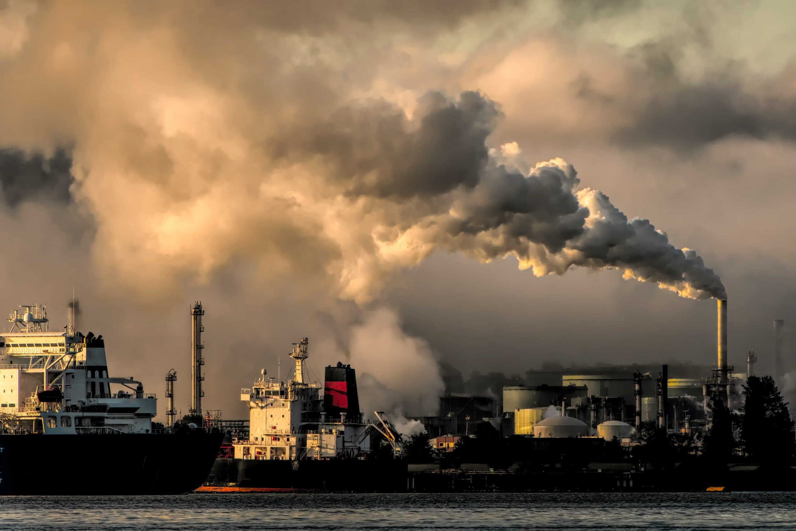 Biochar Industrial lève 1,5 M$ en pré-amorçage
